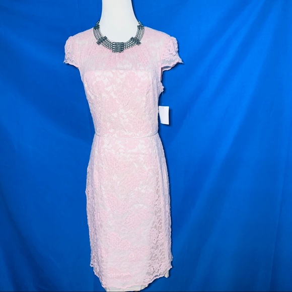 Maggy London Dresses & Skirts - Maggy London petites pink lace dress size 6P